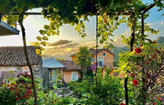 Lotus House Dodoši