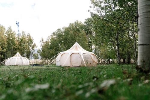 Luxurious Eco-Friendly Bell Tent, Perfect for a Couples Escape to Nature in Island Park, Idaho