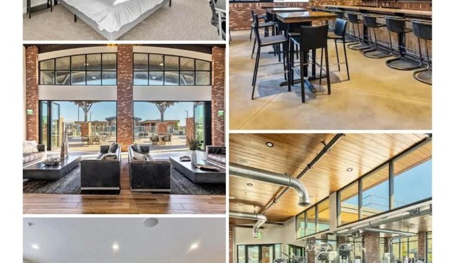 Luxury One Bedroom Apartment in Salt Lake City