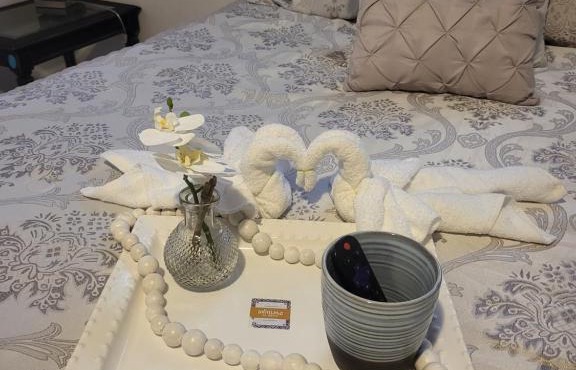 Mother Inlaw Suite