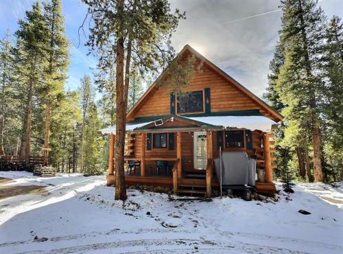 Mountain Log Home-Among Lodgepole Pines