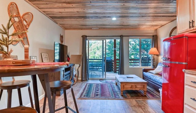 MTN Town Escape - the Fox Den, 1 Bdrm luxury Apt