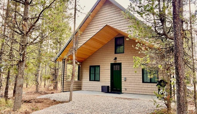 New Cabin in the pines