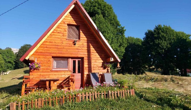 Nikitovic house