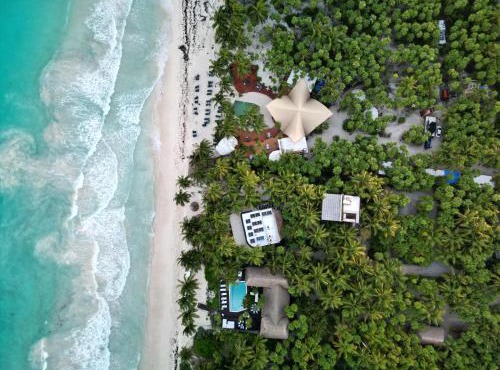 Olas Tulum