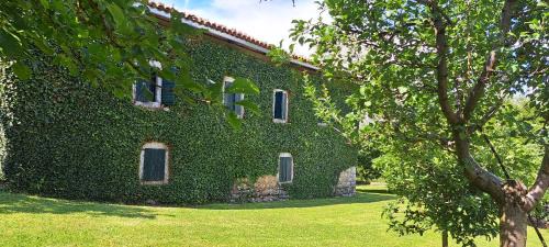Old house Nilovic