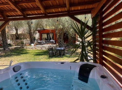 Olive grove Sofias Garden