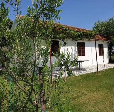 Olive house (near the airport)