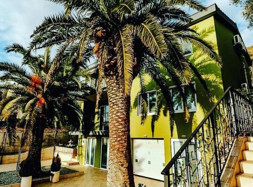 Palm Point Apartment