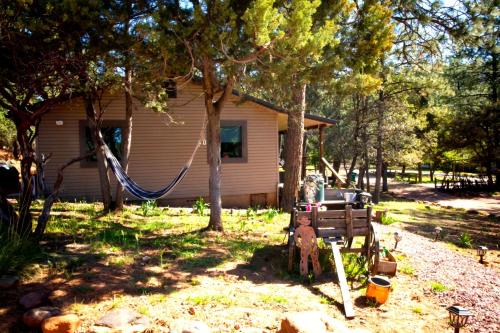 Peaceful Pine Place Cabin