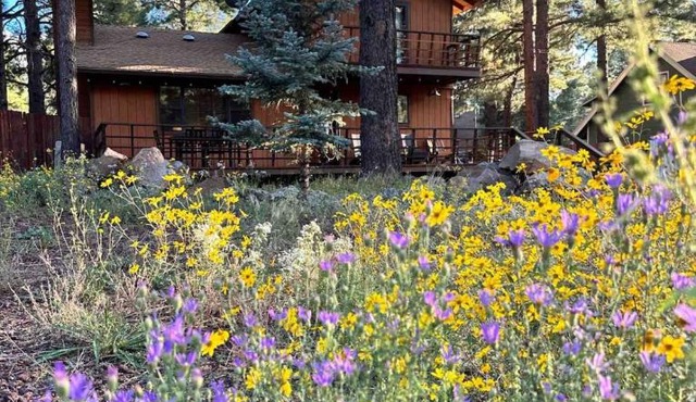 Peaceful Ponderosa Cabin 3bed2bath Dogs OK