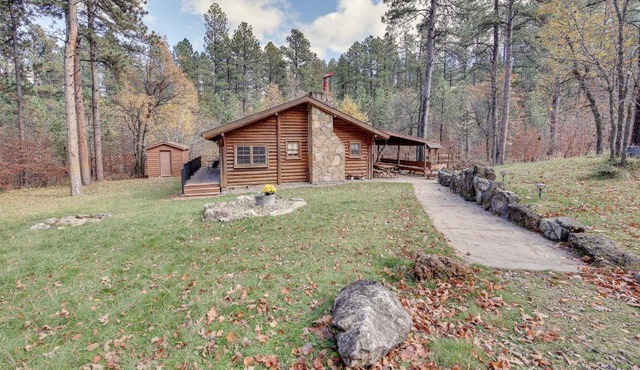 Remote Escape: Sturgis Cabin on 20 Private Acres!