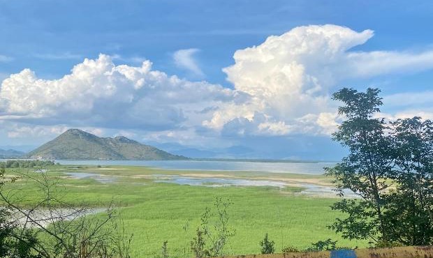 Skadar Lake Apartment Nikola I