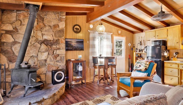 Ski View Chalet by Big Bear Vacations Central Moonridge Hillside Retreat
