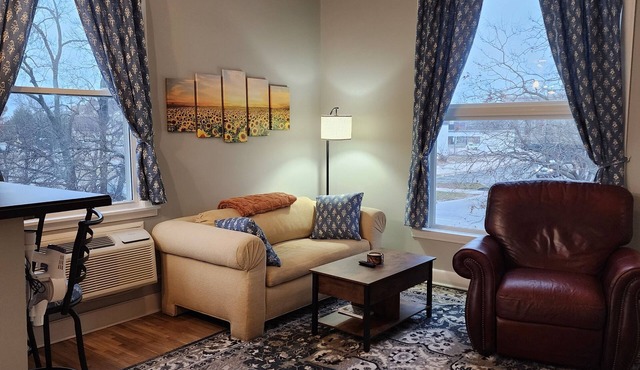 Spacious 2 BDR Downtown Apt, Pet Friendly, Lg Kitchen, 2 Blks From State Capitol