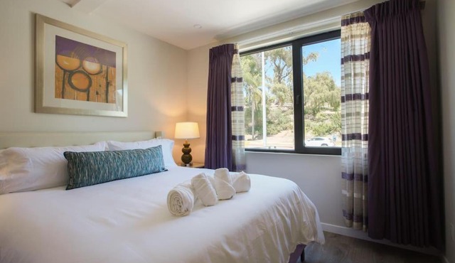 Spacious 500 sqft Studio with Balboa Park View