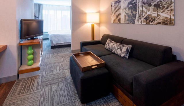 SpringHill Suites Rochester Mayo Clinic Area/Saint Marys
