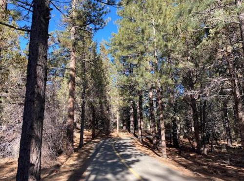Summit Condo - Luxury condo, walk to the slopes!
