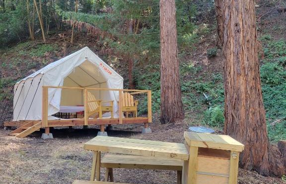 Tentrr Signature Site - Redwood Grove Site B