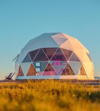 The Hive