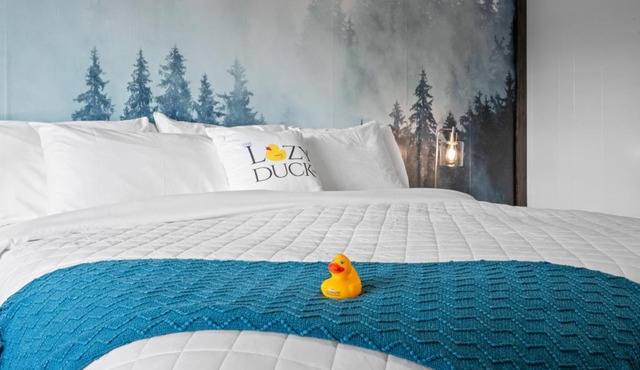 The Lazy Duck Inn