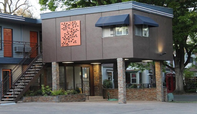 The Vine Inn Davis