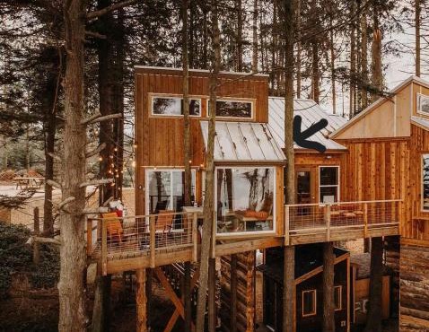 Treehouse-Small Eagles Perch over the water