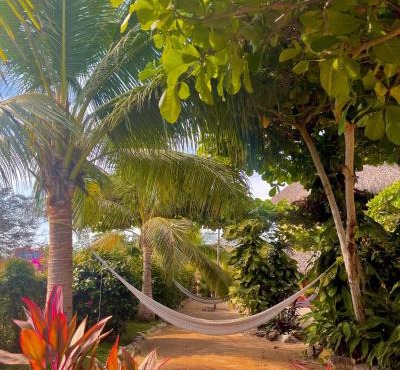 Troncones Point Hostel