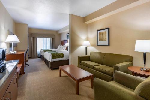 Comfort Inn Gateway Park 