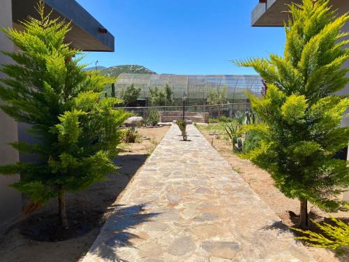 Coquenas Del Valle 