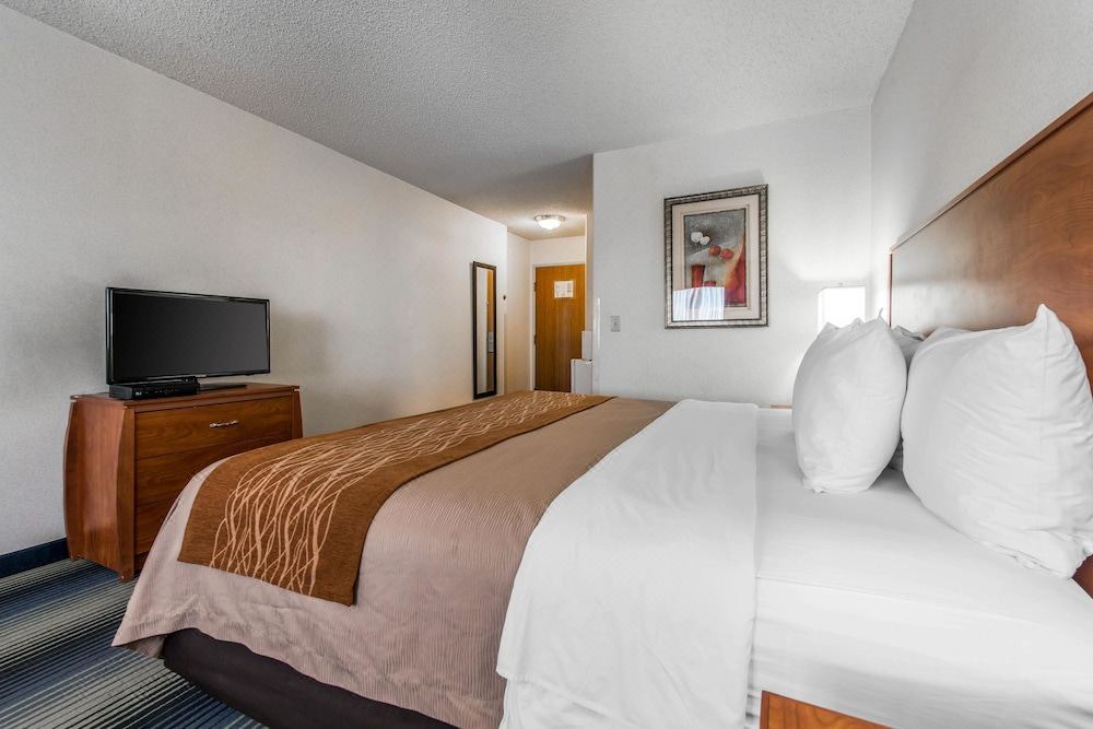 Photo of Bedroom in South Westminster