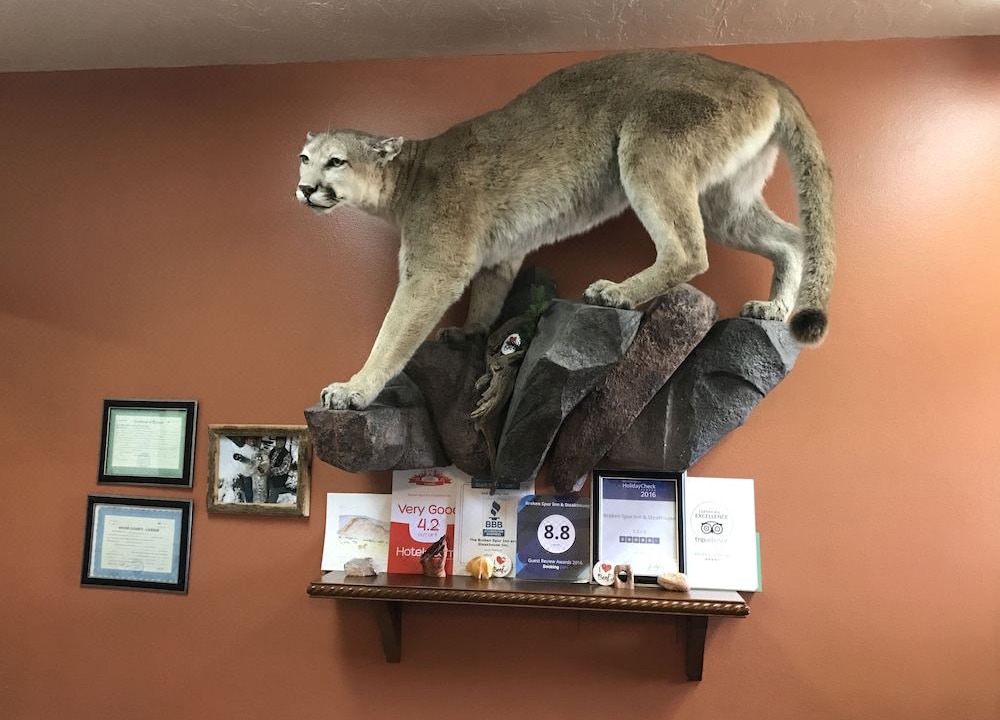 Photo of Others in Torrey