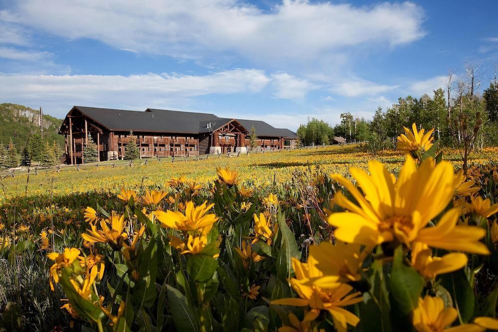 Photo of Buildings in Heber City