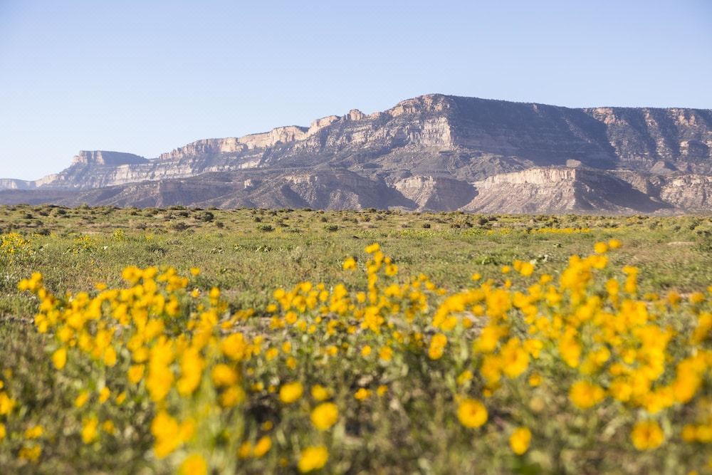 Photo of Outdoor in Kayenta