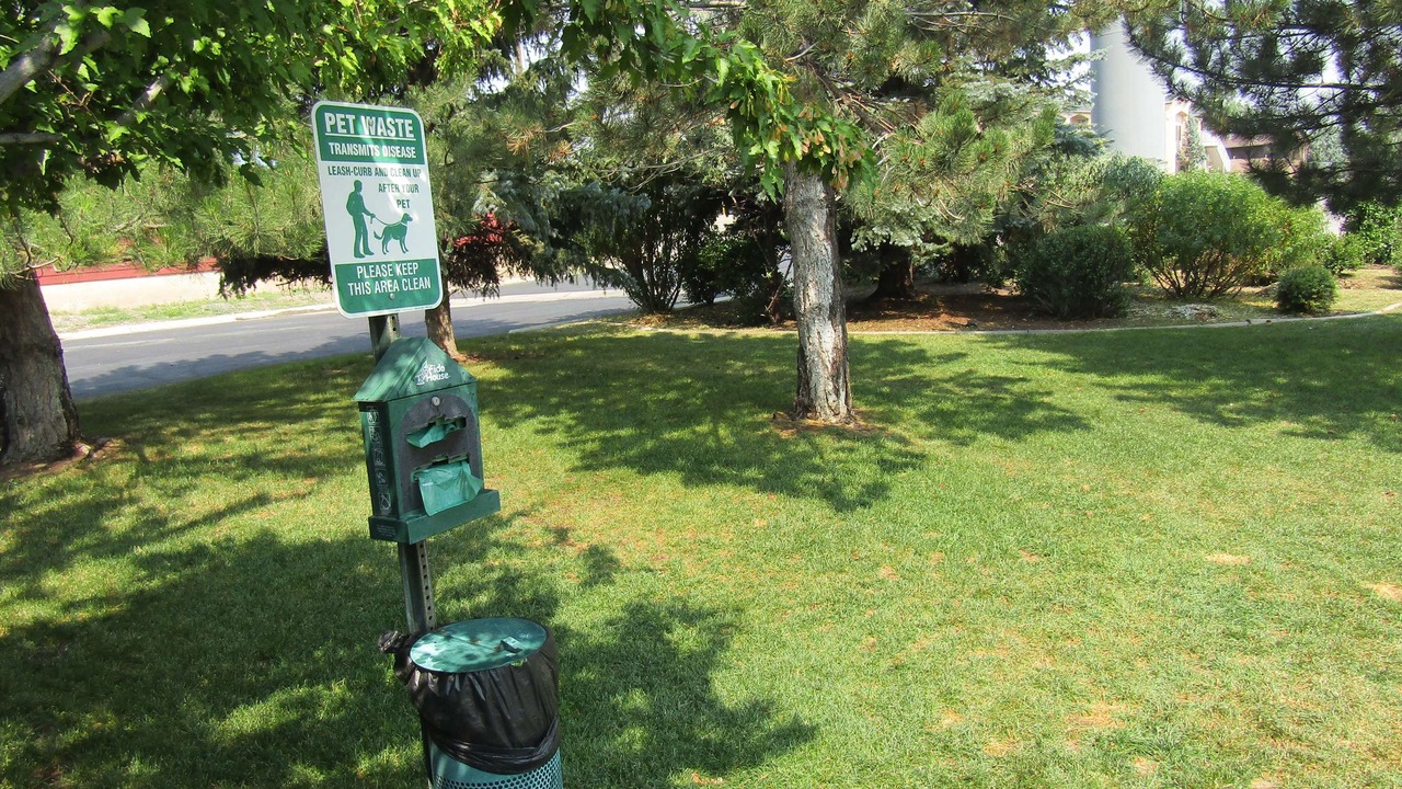 Photo of Outdoor in Evanston