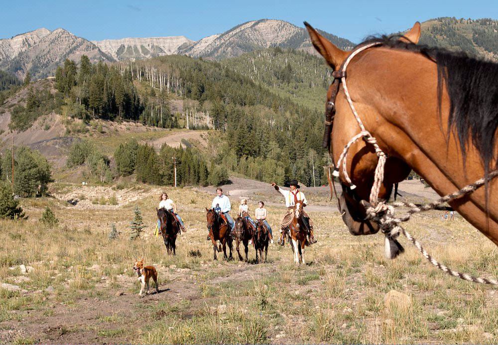 Photo of Others in Glenwood Springs