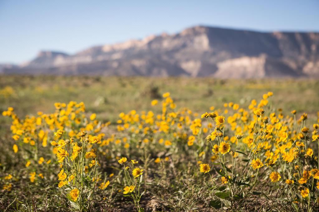 Photo of Outdoor in Kayenta