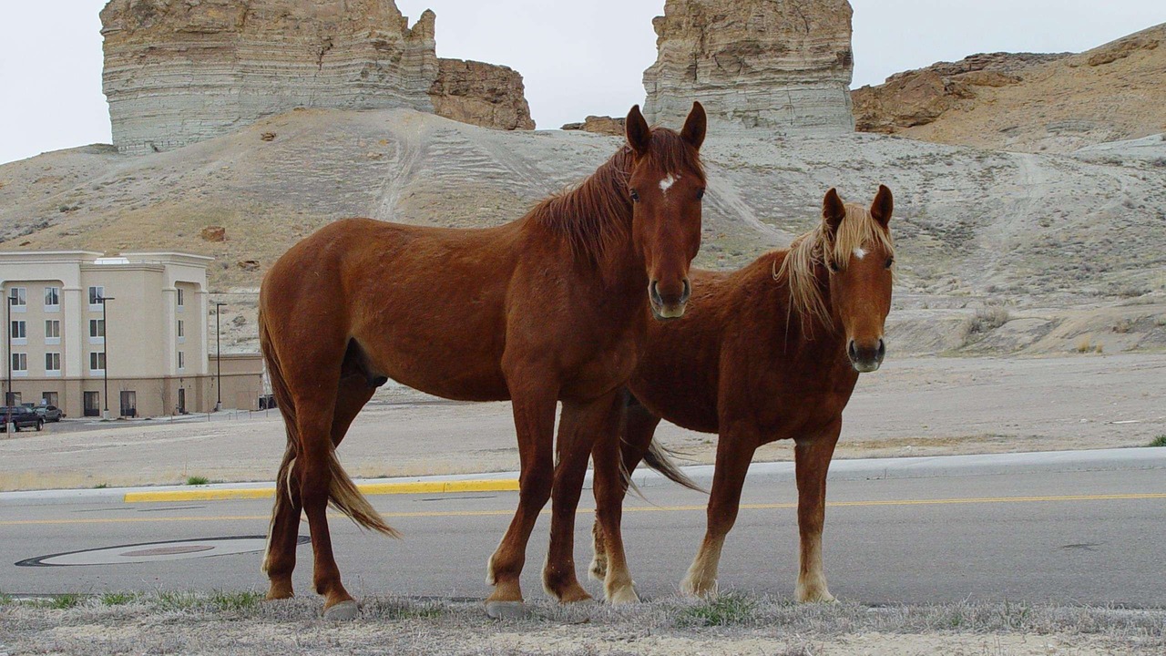 Photo of Others in Green River