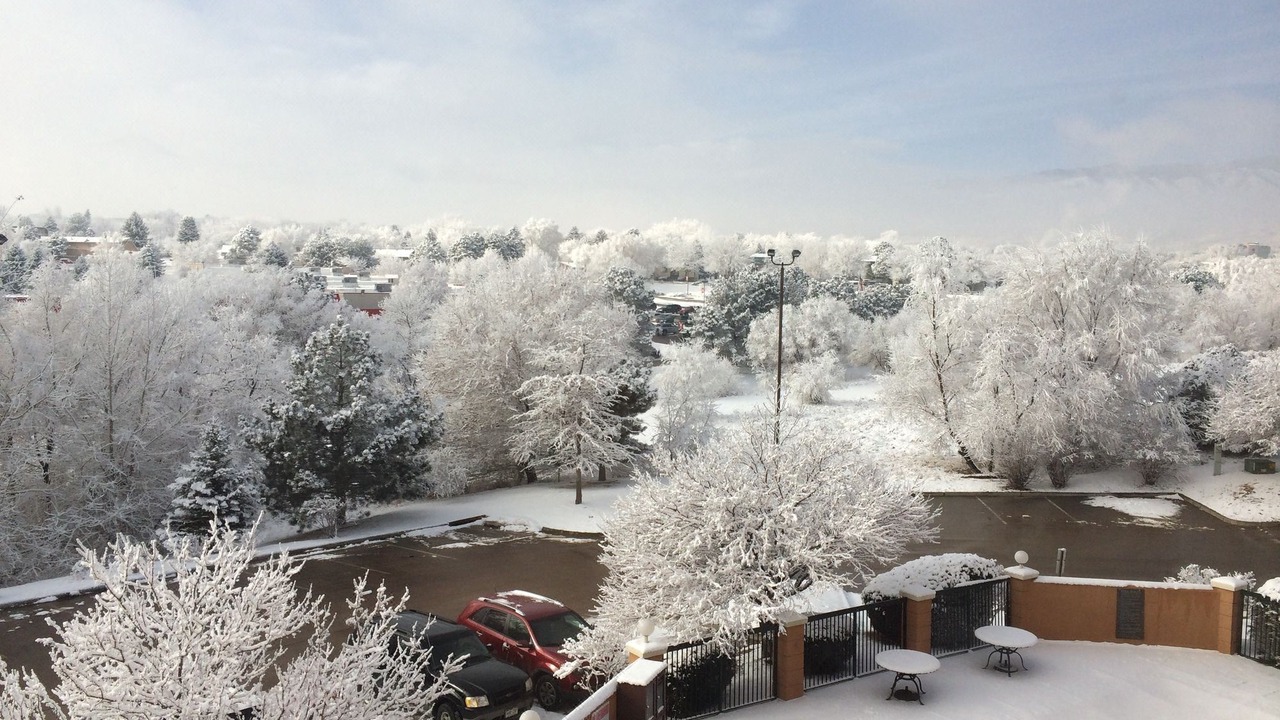 Photo of Others in West Colorado Springs