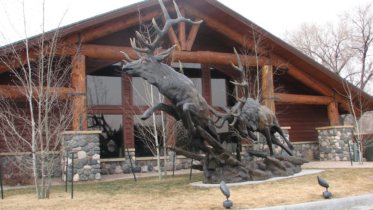 Photo of Buildings in Cody