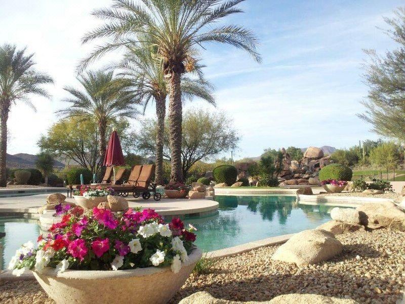 Photo of Outdoor in Cave Creek