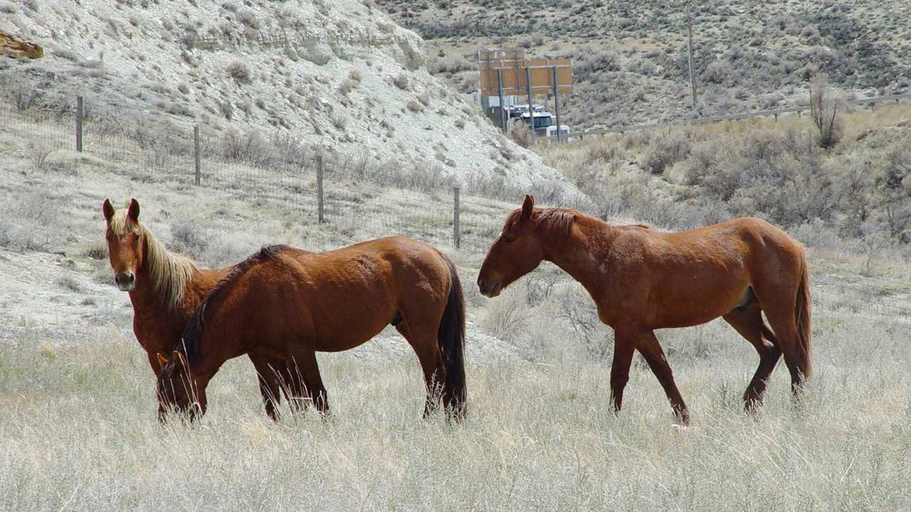 Photo of Others in Green River