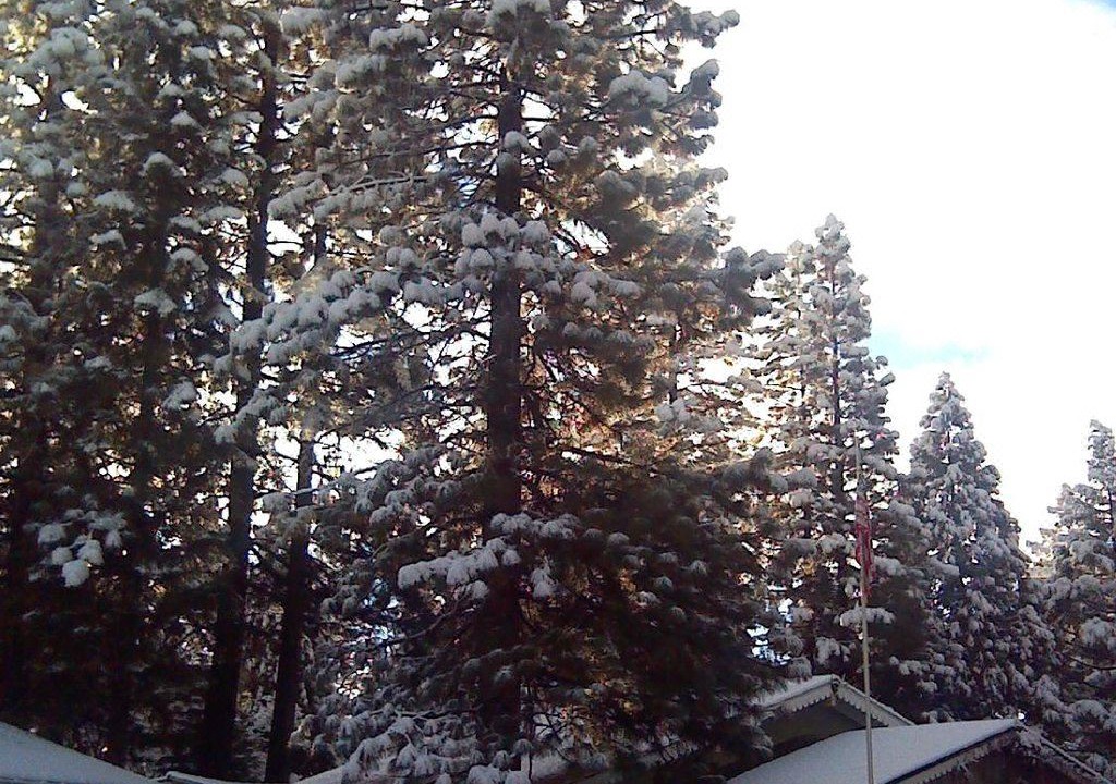 Photo of Buildings in Fish Camp