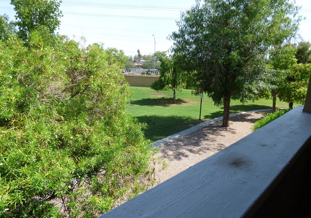 Photo of Others in Alta Mesa Community Association