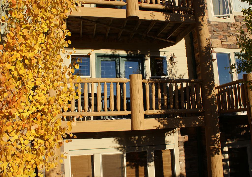 Photo of Buildings in Eden
