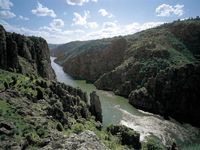 Photo of Others in Twin Lakes