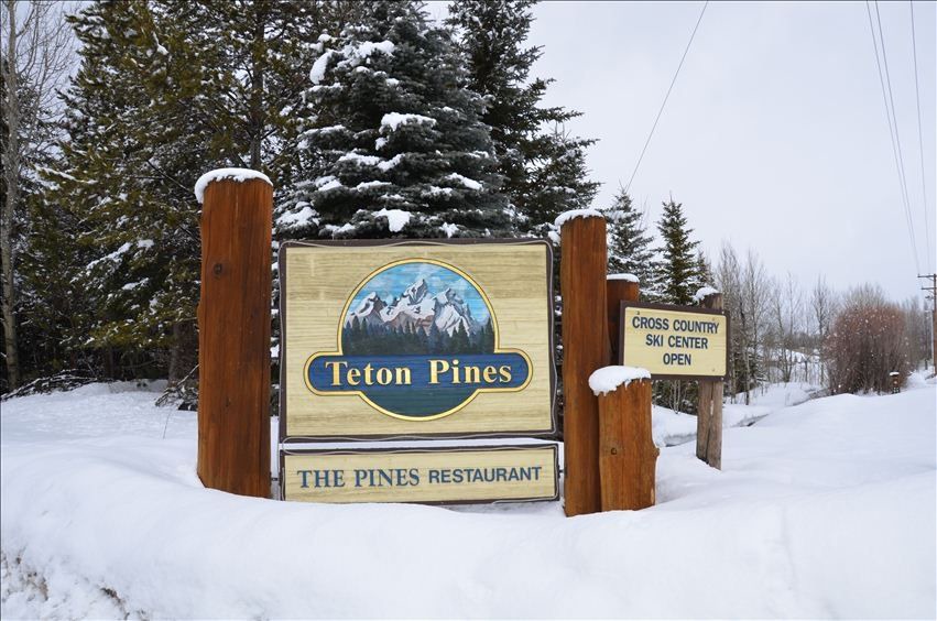 Photo of Others in Teton Pines