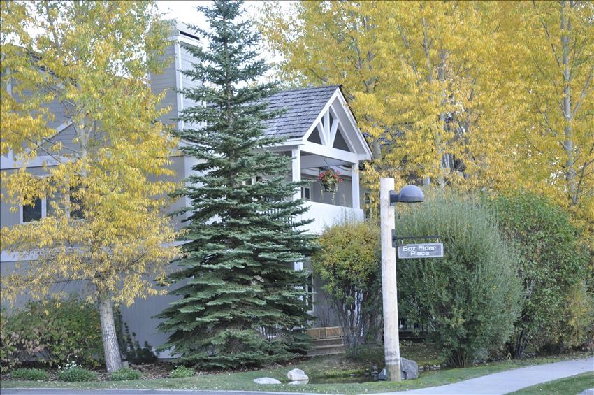 Photo of Buildings in Teton Pines