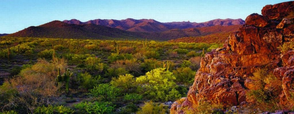 Photo of Outdoor in Scottsdale Links