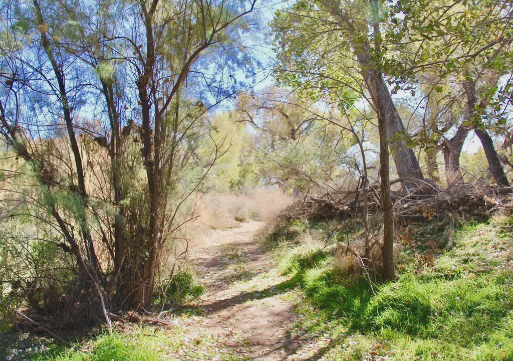 Photo of Others in Camp Verde